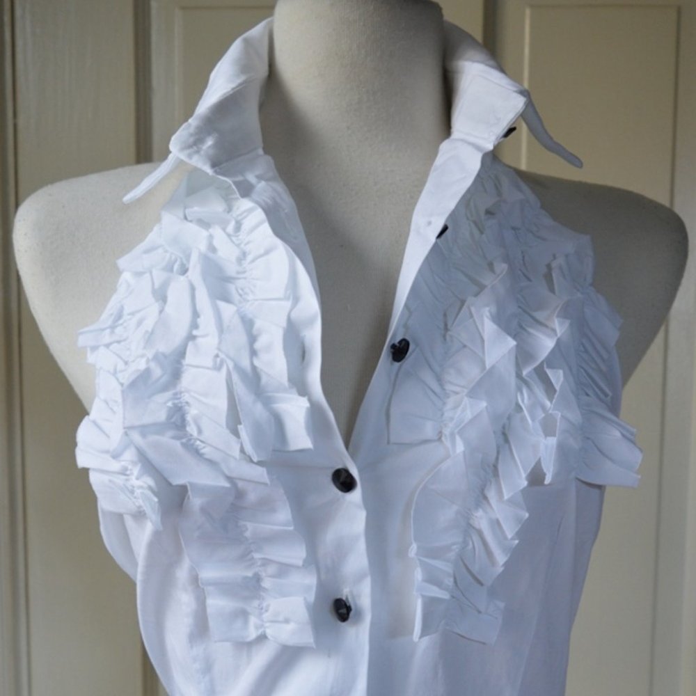 BLOUSE  CASUAL  SLEEVELESS  COLLARED  FLARED  BUTTON UP